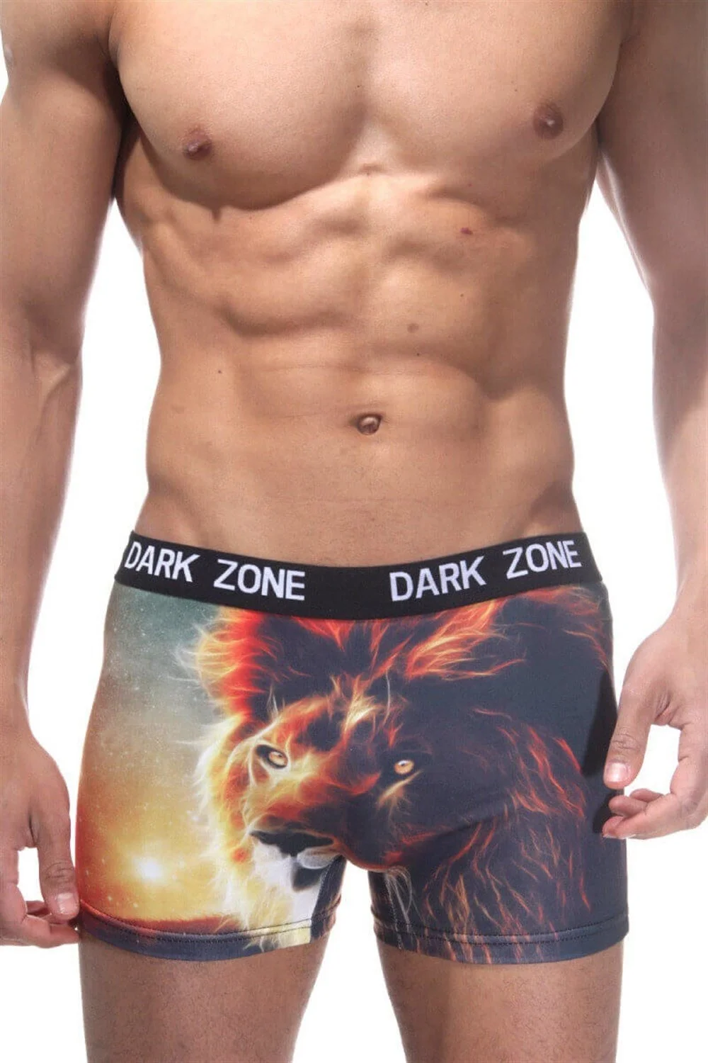 Darkzone Aslan Desenli Renkli 3D Boxer - DZN1052 Boxer Toptan