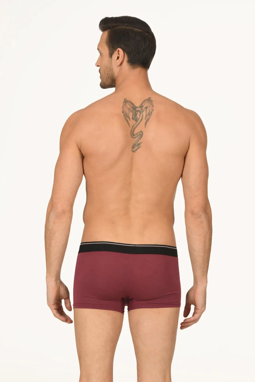 Bordo Hendrix Modal Boxer, Nbb marka erkek iç çamaşırı, model pozisyonu, beyaz arka plan, siyah elastik detaylı