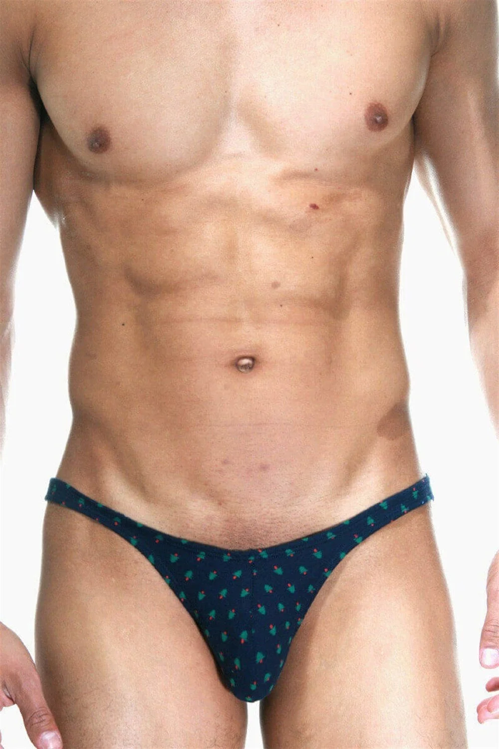 Darkzone Çam Ağacı Desenli Lacivert Erkek Slip - DZN6427 Slip Toptan