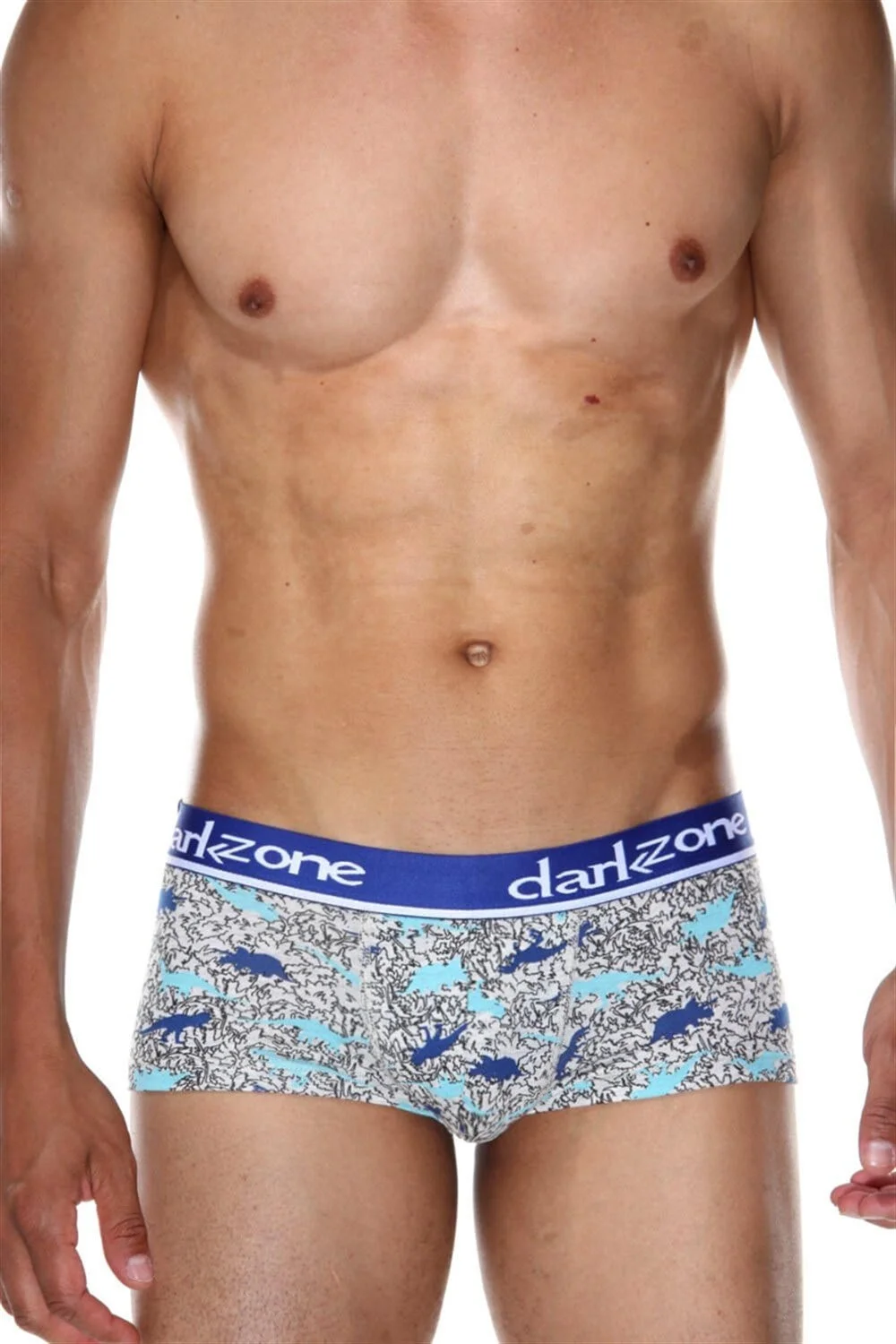 Darkzone Dinazor Desenli Kısa Erkek Boxer - DZN3314 Boxer Toptan