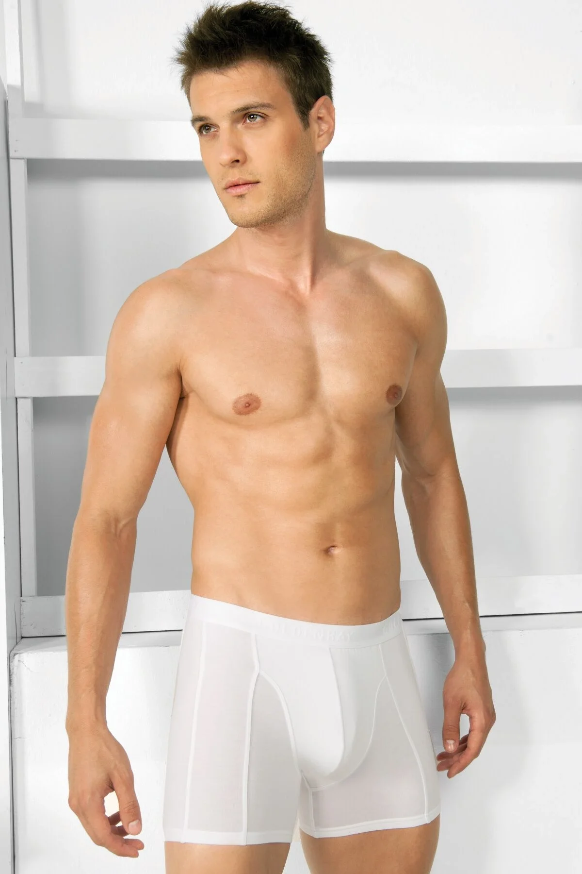 Anıl Erkek Modal Klasik Bokser (1755) Boxer Toptan