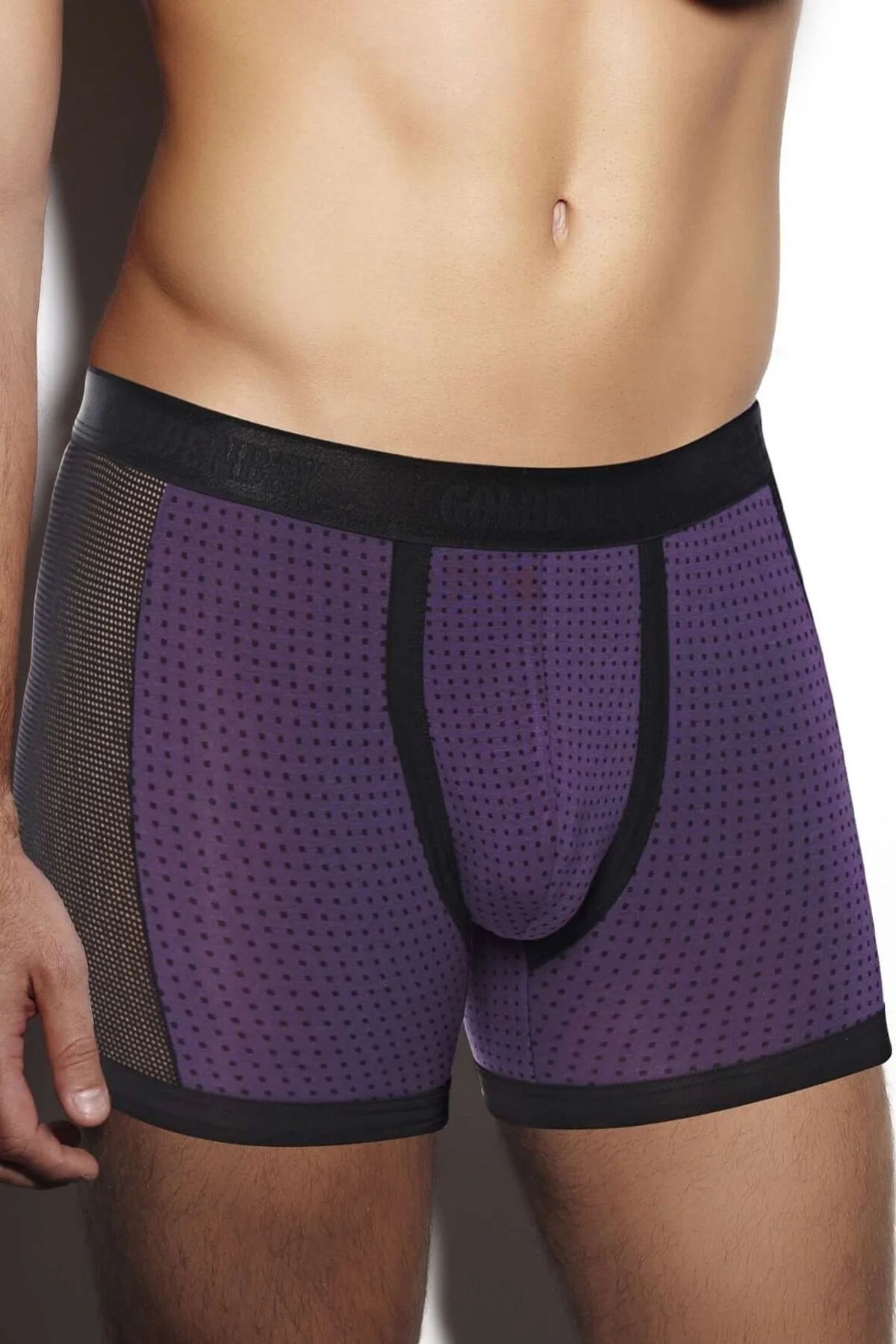 Anıl Erkek Modal Yan Fileli Puantiyeli Bokser (1764) Boxer Toptan