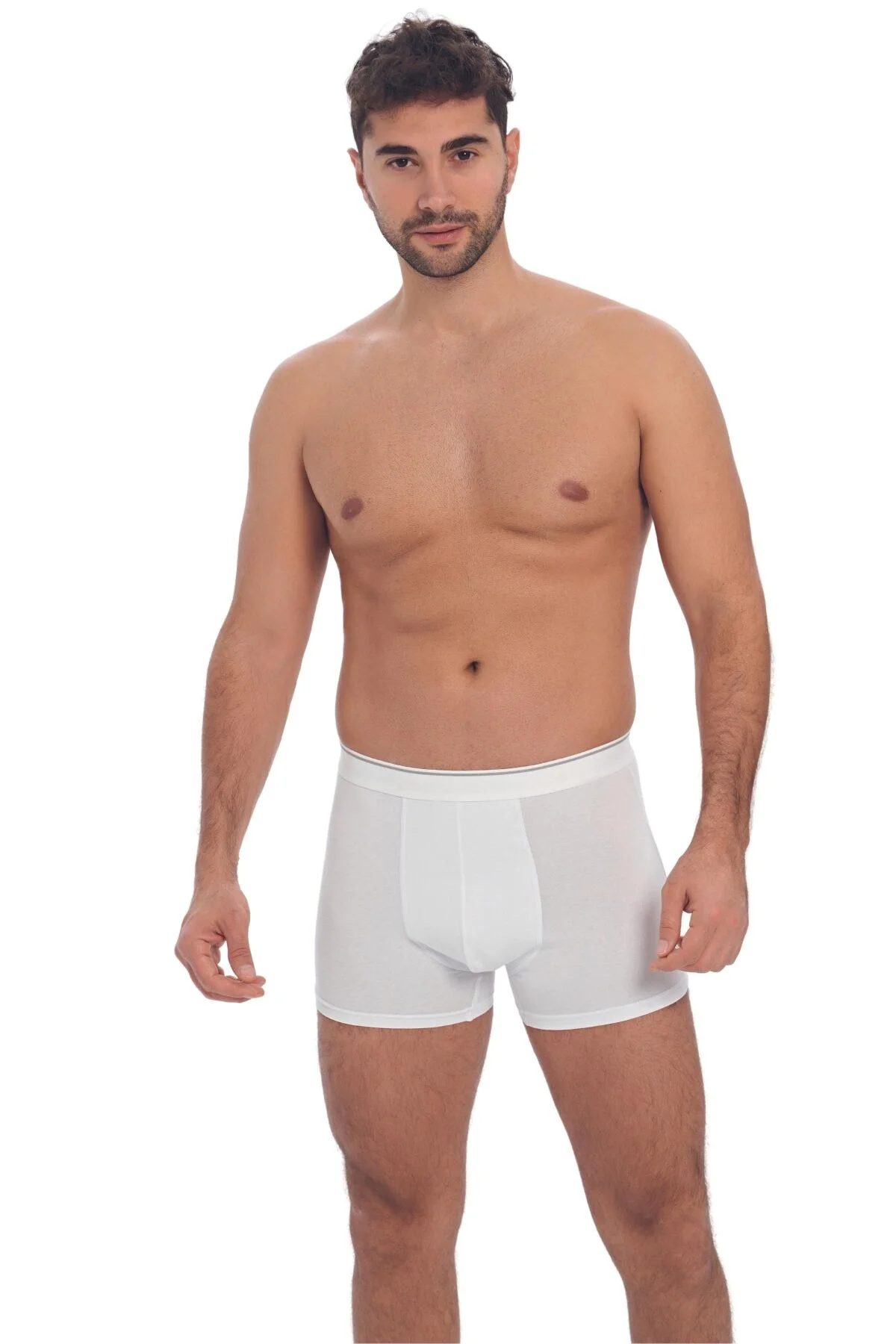 Anıl Erkek Pamuk ve Modal Kumaş Geniş Bel Lastikli Klasik Bokser (0019) Boxer Toptan