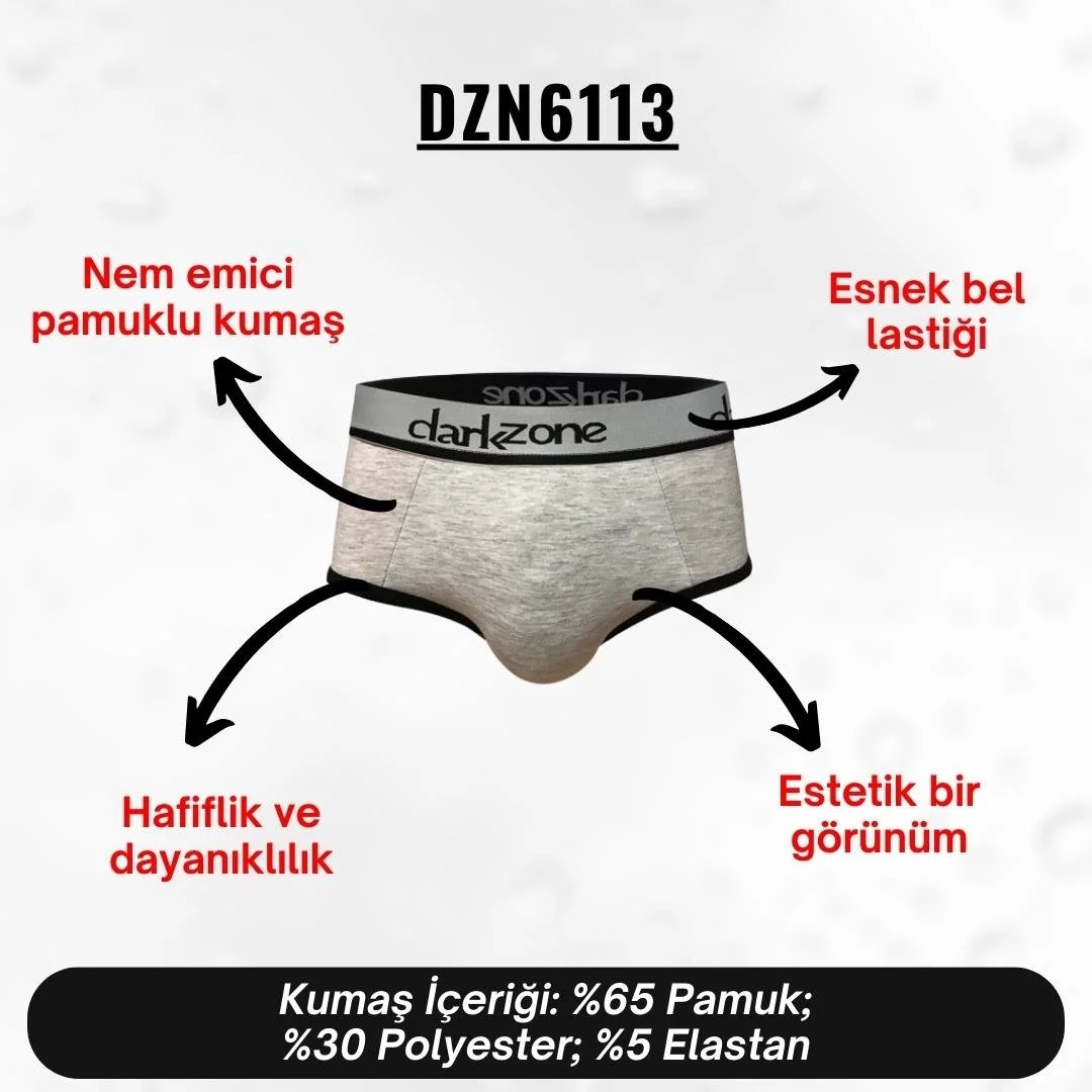 Gri Hipster erkek slip, Darkzone markası, klasik desenli, siyah detaylı, üst kısmı marka logosu ile donatılmış, erkek iç giyim ürünü