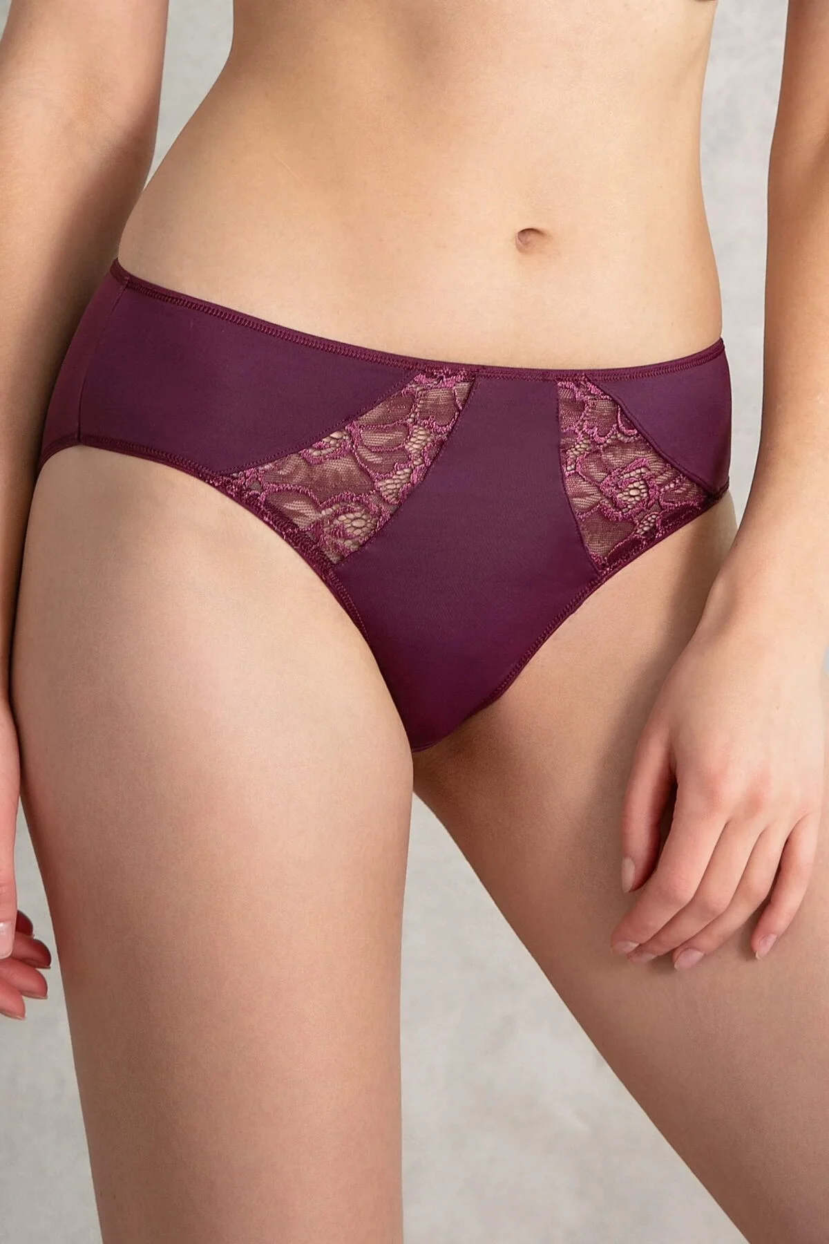 Anıl Kadın Mikro Kumaş Dantelli Slip (2780) Külot Toptan