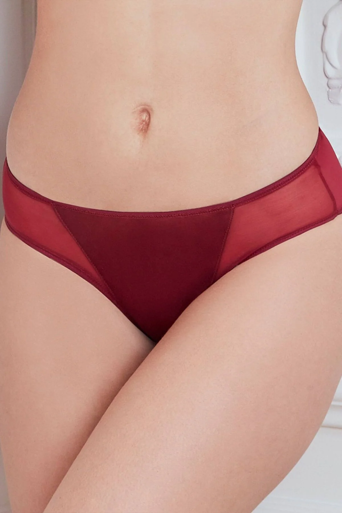 Anıl Kadın Mikro Kumaş Tüllü Slip (2778) Külot Toptan