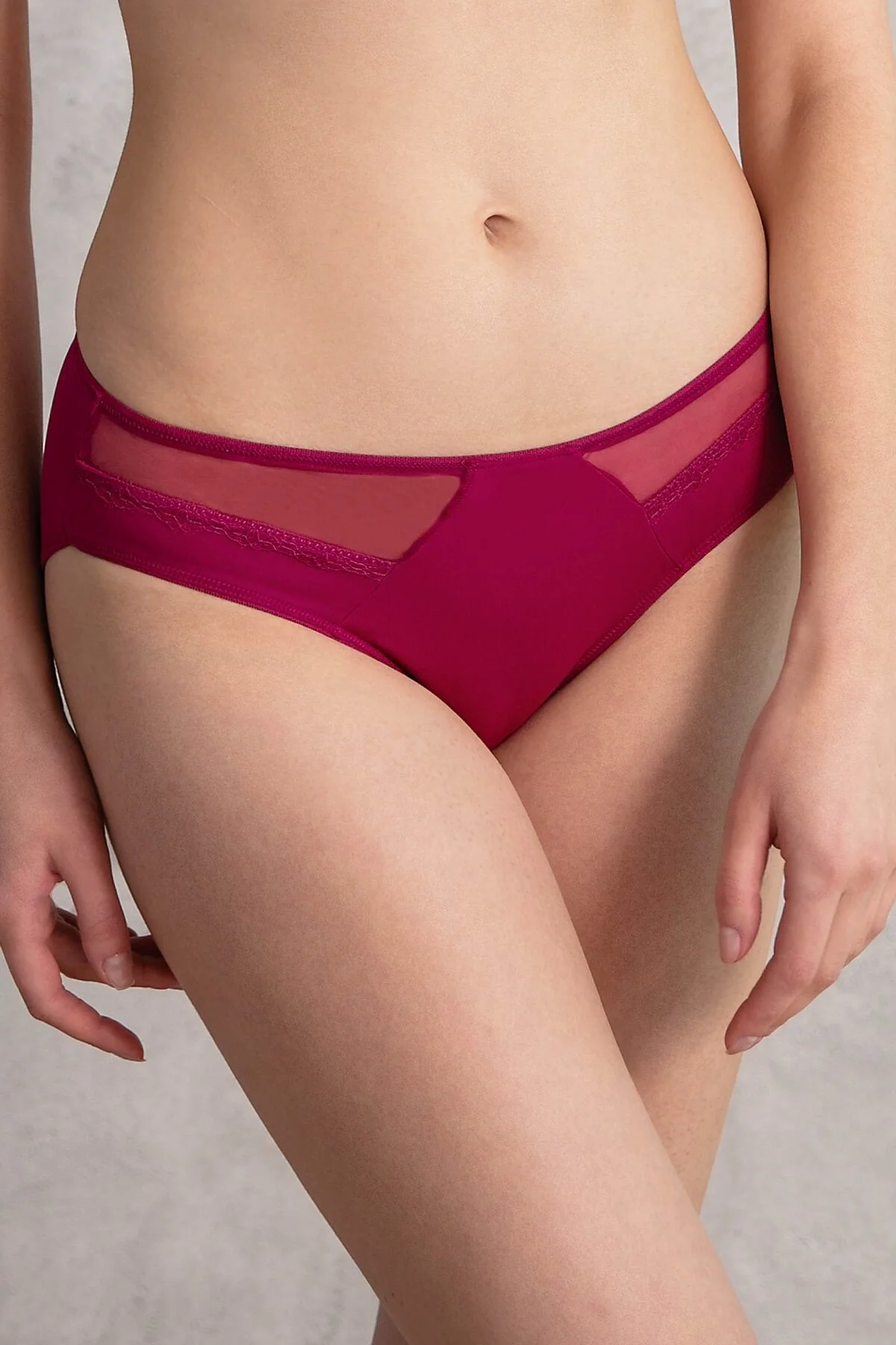 Anıl Kadın Mikro Kumaş Tüllü Slip (2779) Külot Toptan