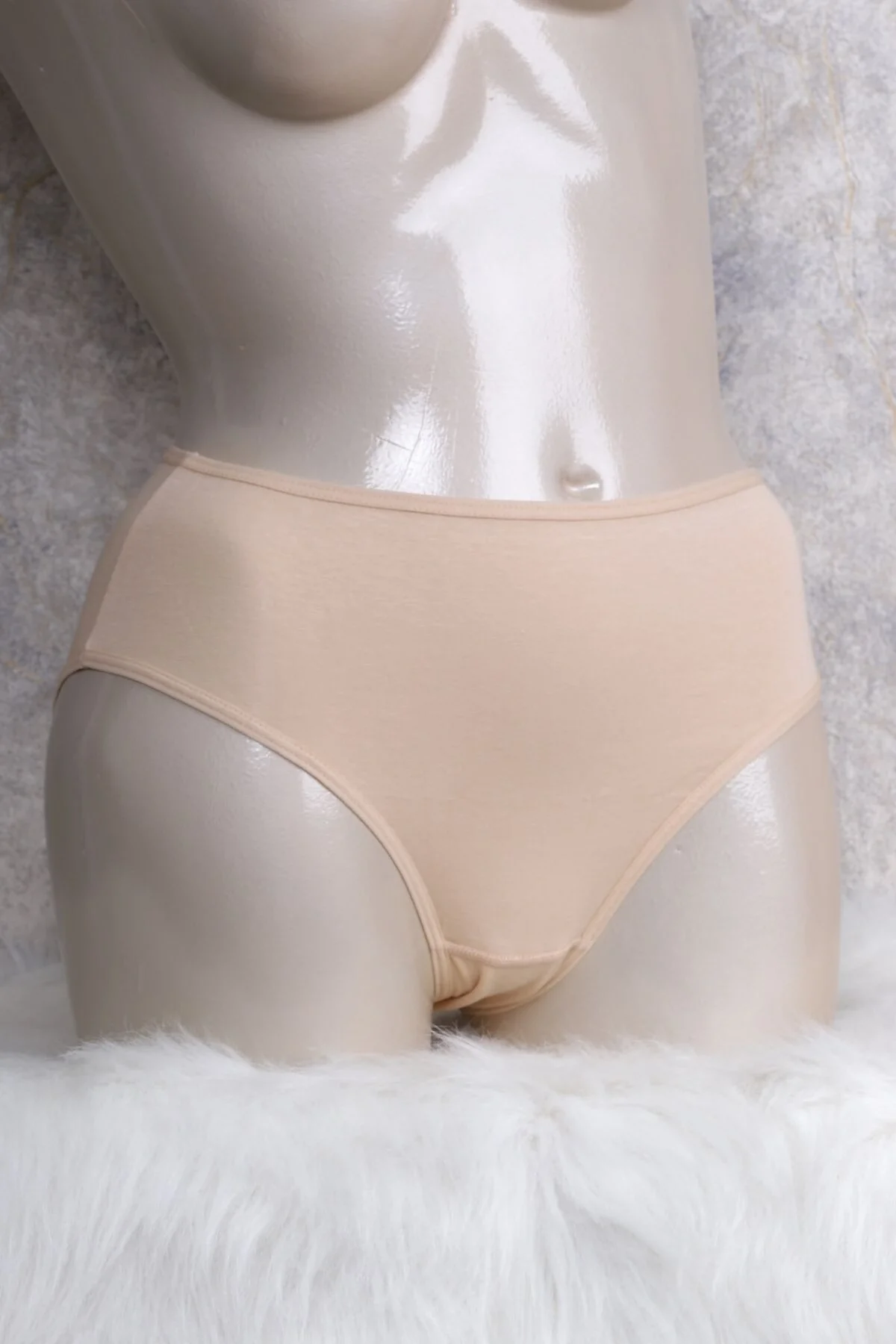 Anıl Kadın Pamuklu Yüksek Bel 3'lü Paket Slip (2659) Külot Toptan