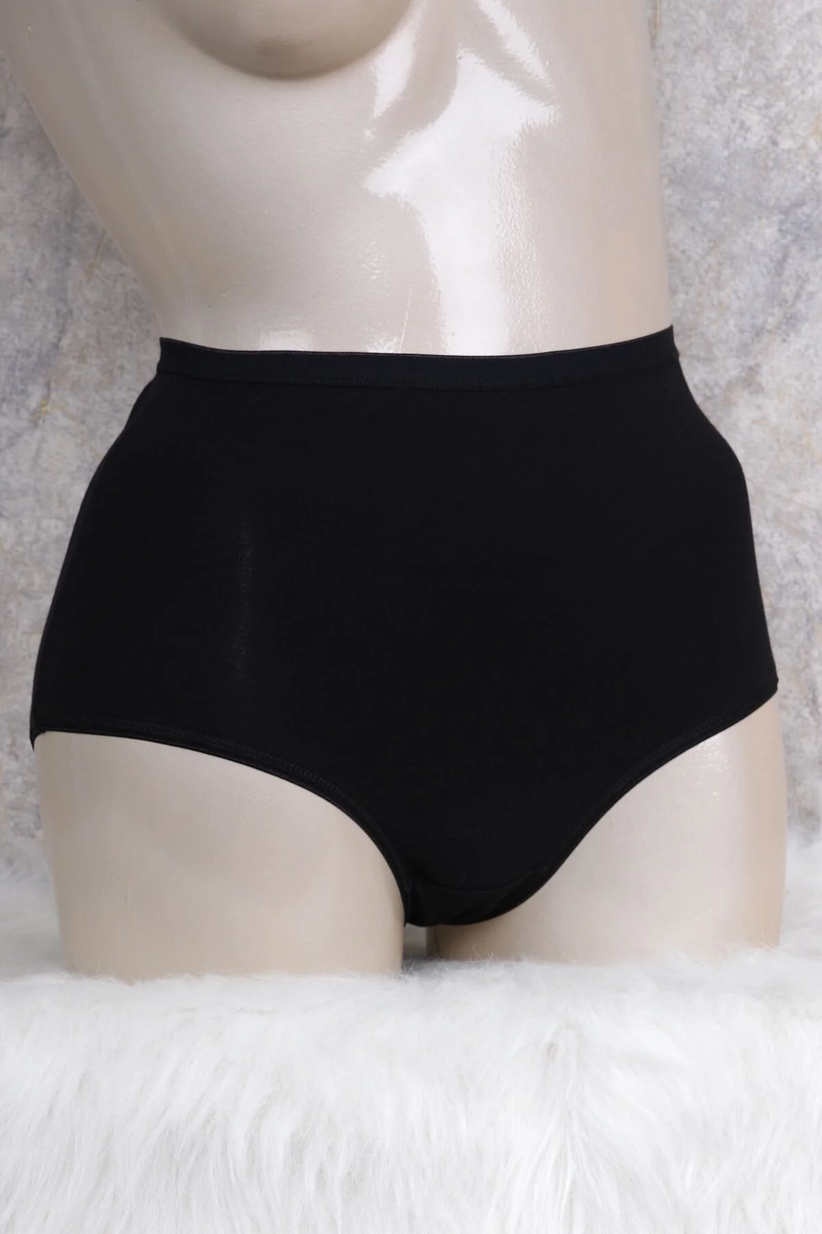 Anıl Kadın Pamuklu Yüksek Bel Geniş Bel Lastikli Külot (2678) Külot Toptan