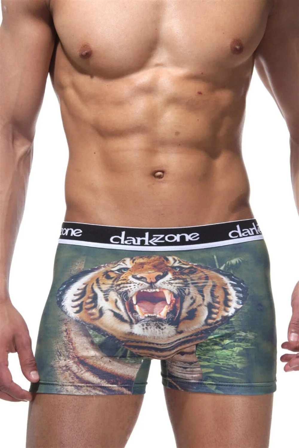 Darkzone Kaplan Desenli 3D Yeşil Boxer - DZN1094 Boxer Toptan