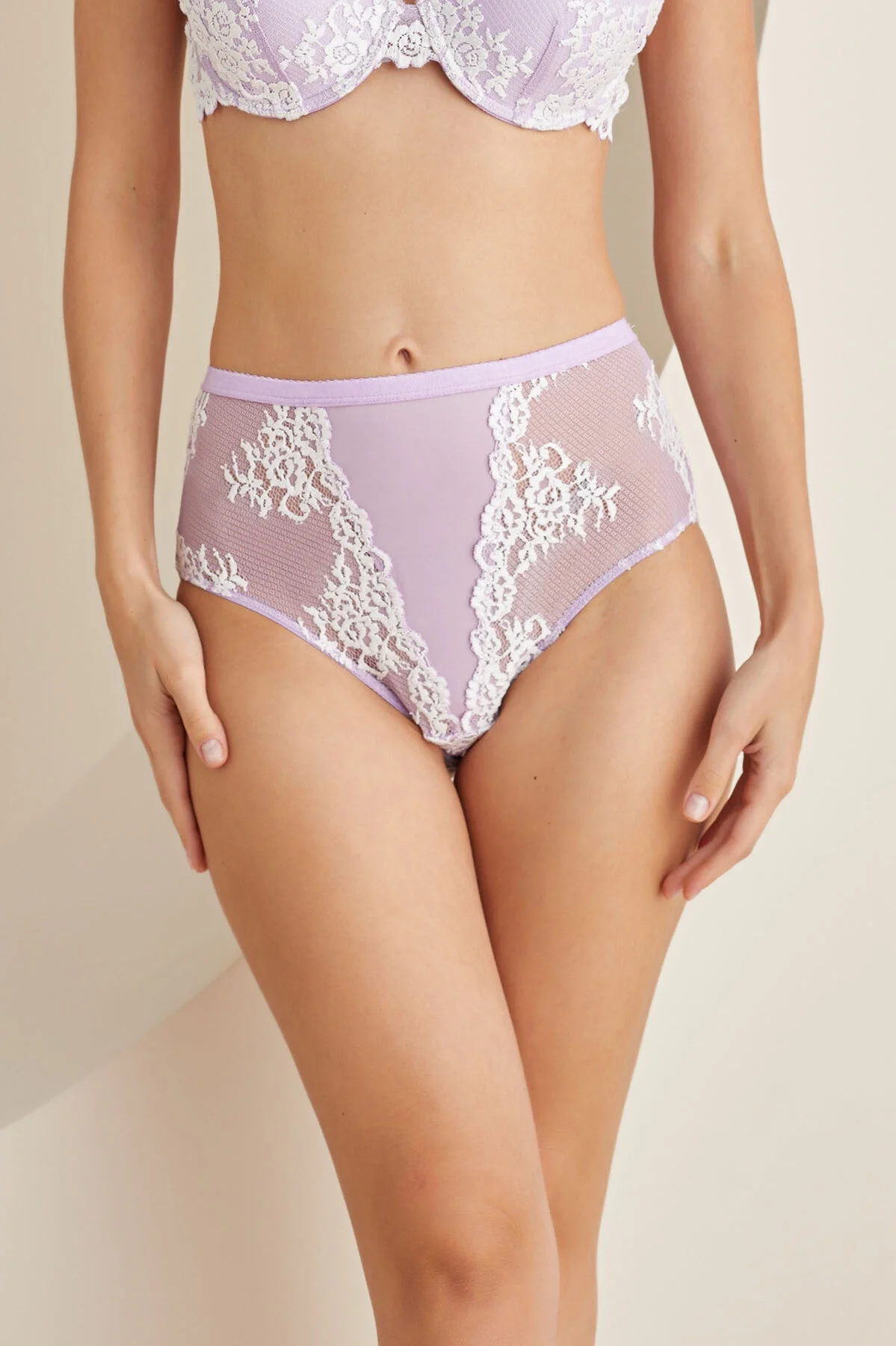 Nbb Lila Dalia Yüksek Bel Külot Külot Toptan