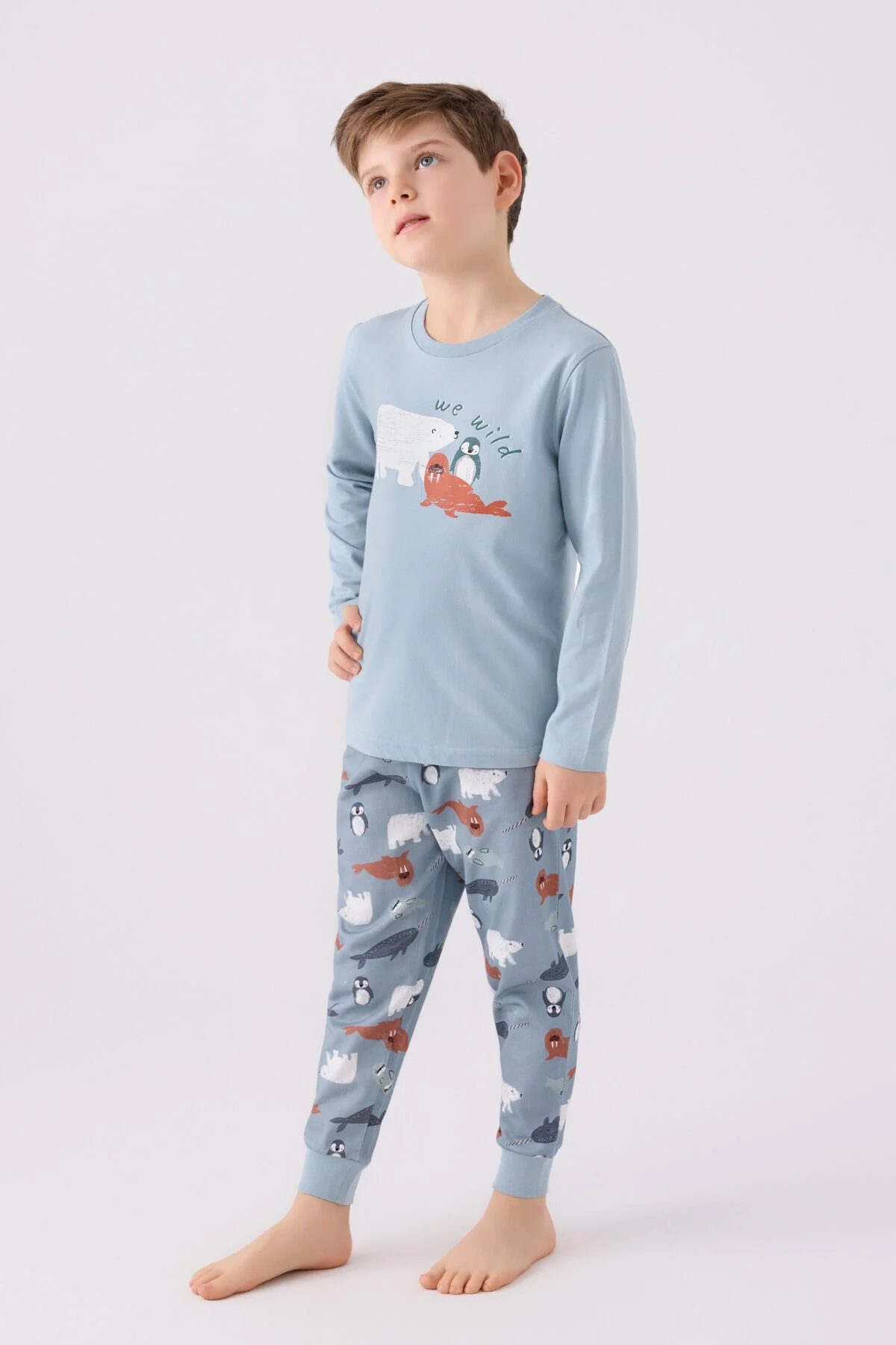 Mavi polar ve penguen desenli erkek çocuk pijama takımı, Rolypoly marka, Annetta markası, çocuk iç giyim