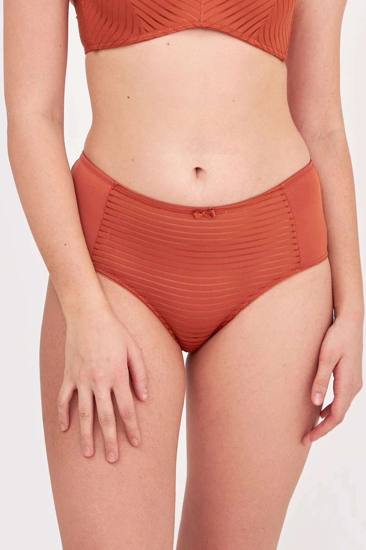 Nbb Tarçın Sierra Yüksek Bel Külot Külot Toptan