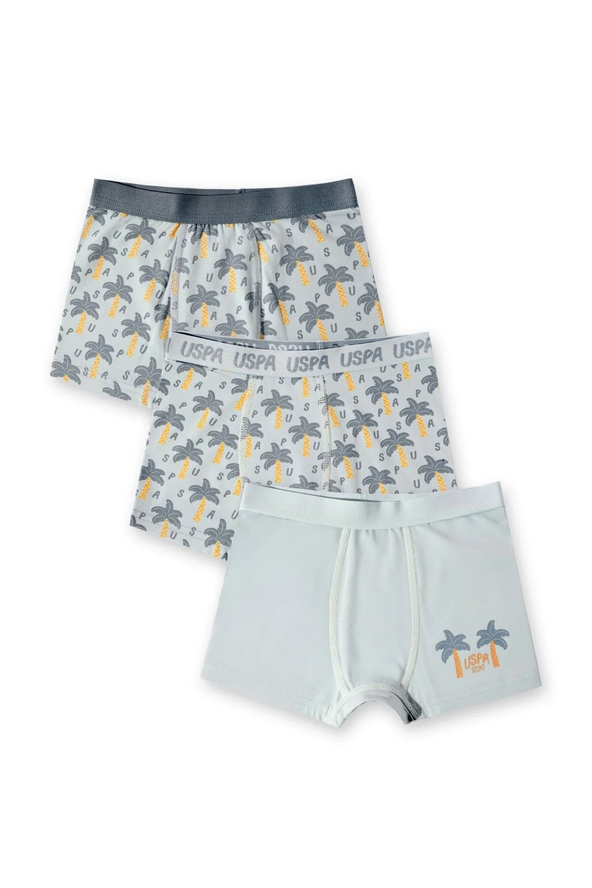 Arnetta U.S Polo Assn Erkek Çocuk Yeşil İç Giyim Boxer Toptan