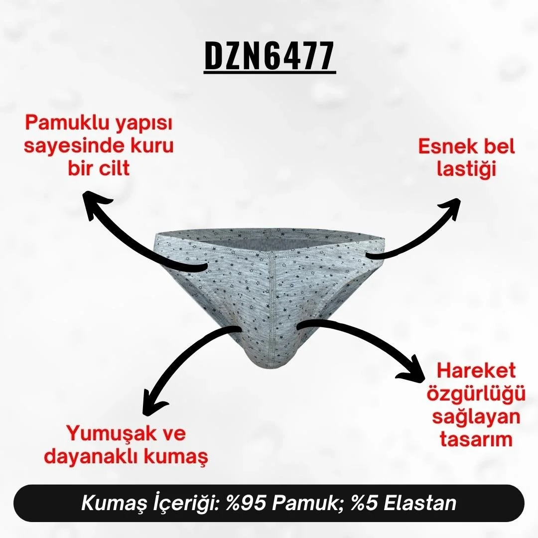 Yıldız Desenli Gri Erkek Slip - DZN6477